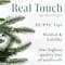 6.5ft. Pre-Lit Real Touch™️ Flocked Jasper Balsam Fir Artificial Christmas Tree, Clear Lights